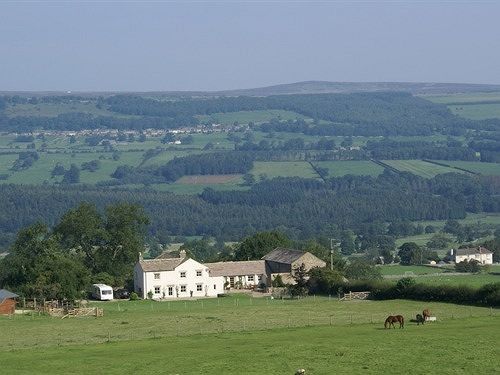 Capple Bank Farm Bed & Breakfast Wensley Екстериор снимка